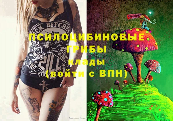 шишки Балахна