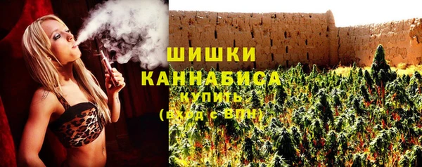 сатива Белокуриха