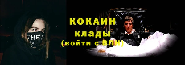 шишки Балабаново