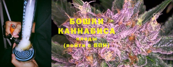 шишки Балабаново