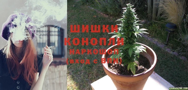 шишки Балабаново