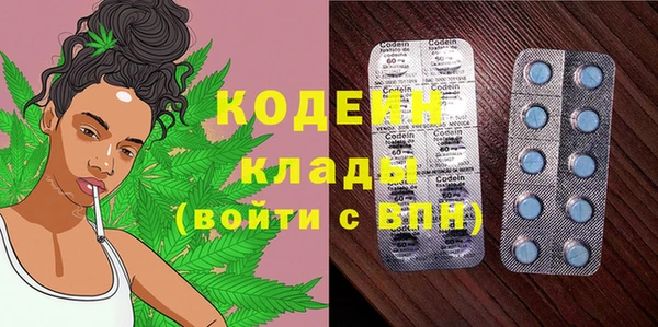 молекула духа Переславль-Залесский